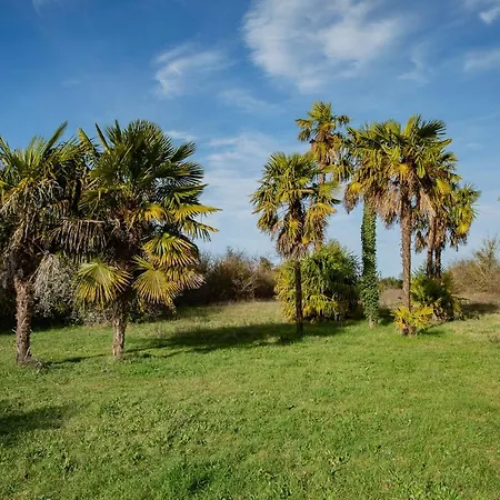 Maison De Village -8 Pers- Piscine Chauffee & Cuisine D'ete En Gascogne *